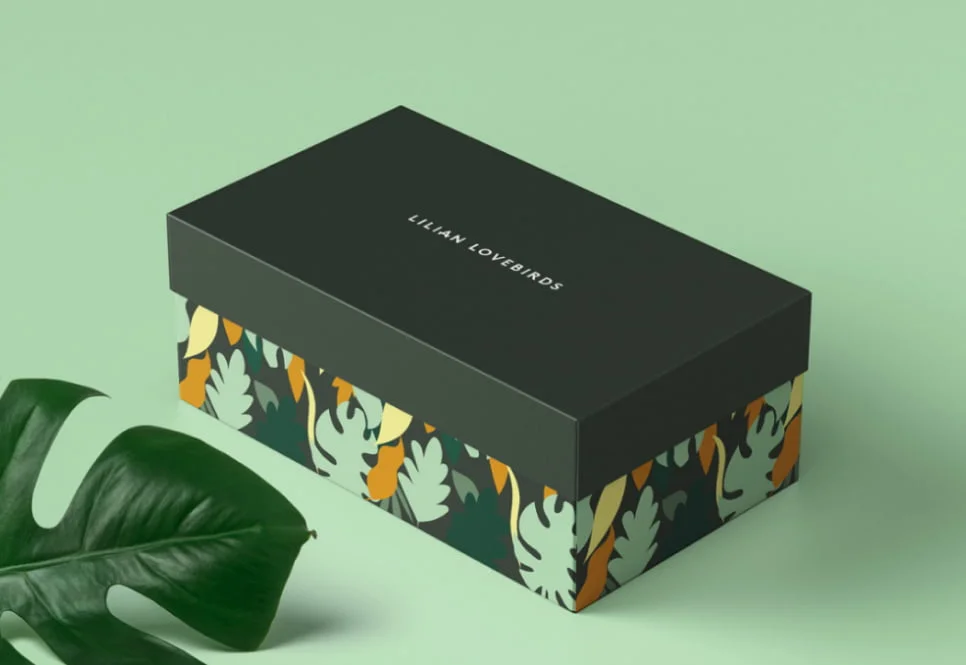 Packaging design project by a talented Australian Pacific College Student, Gary Corr